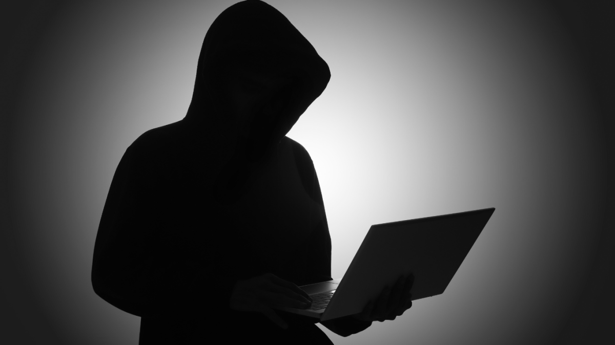 US takes risky bet on private 'pirates' to combat cybercrime