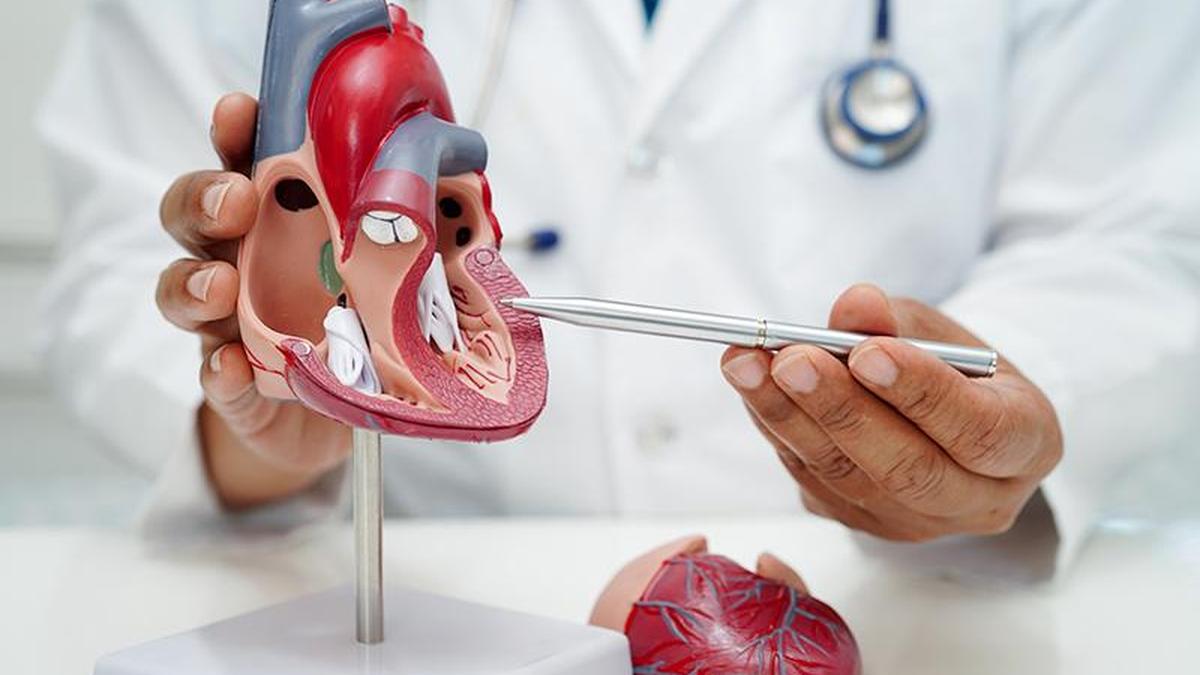 TAVI has ushered in new age in treating aortic valve diseases: how it works and who it is for