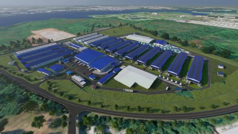 Construction begins for Singapore’s long-delayed fourth egg farm