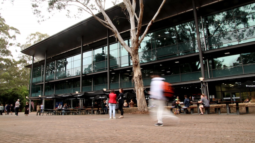 UOW labelled 'poster child' for what is wrong with university sector