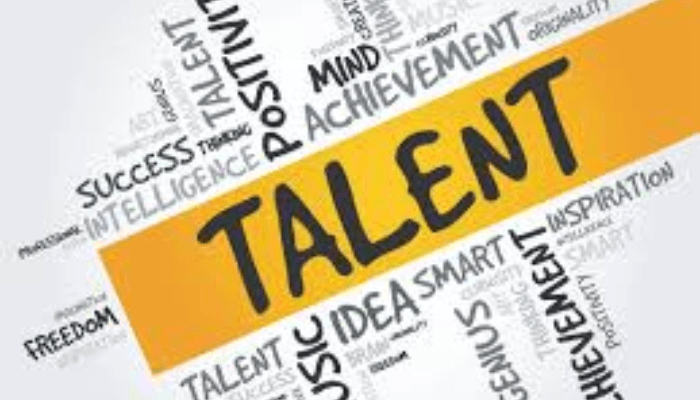 The price of talent (1) – What exactly is Nigeria asking the world to hire?