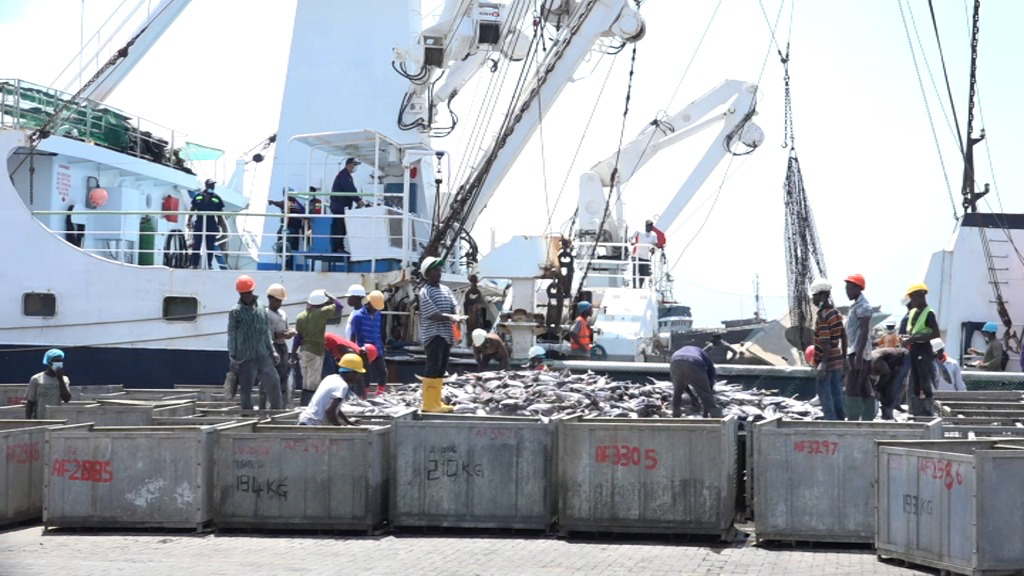 Ghana’s tuna industry in crisis as 20 hook-and-line vessels collapse