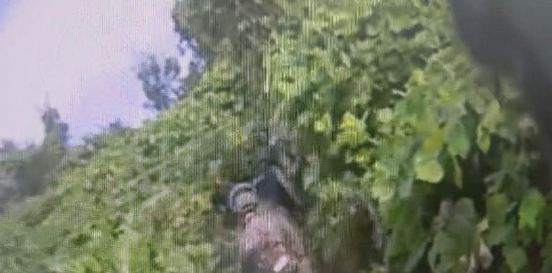 Delayed response to DMZ mine blast