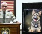 Death of Tenessee sheriff’s office canine leads to criminal investigation