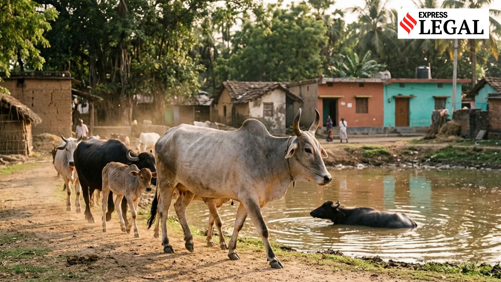 Legal system treats animals like objects, not living beings: Jammu & Kashmir High Court