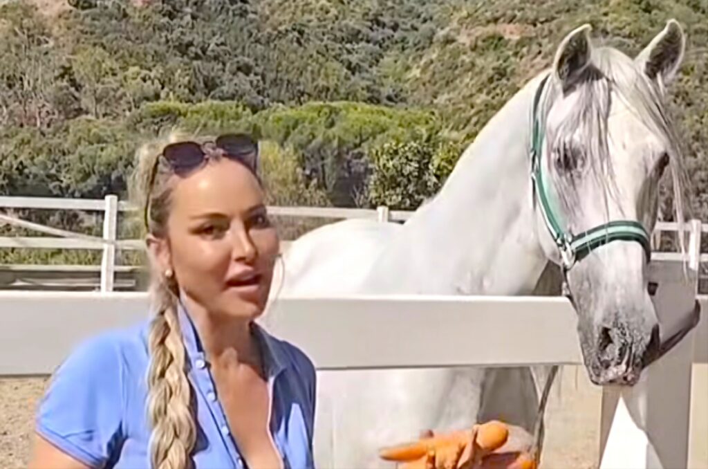 Marbella’s retired police horses escape auction and find a new home in Cadiz sanctuary