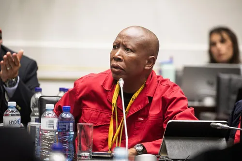 Malema granted leave to appeal conviction and five-year sentence in firearm case