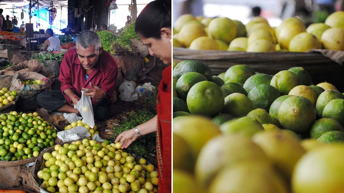 Mumbai Lemon Prices Soar As Vashi APMC Arrivals Drop, Retail Rates Touch ₹10 Per Piece Amid Supply Shortage