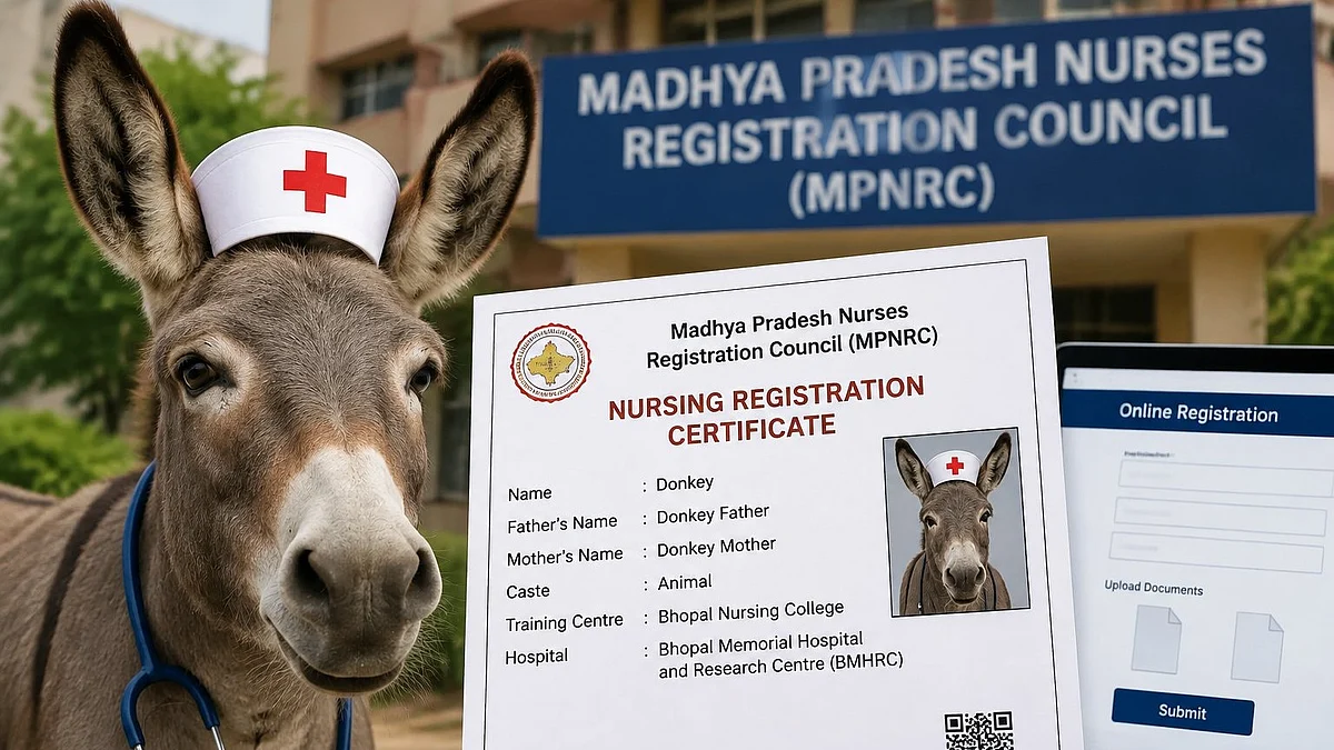 Bizarre Case In MP: Donkey Gets Nursing Registration Certificate, Raises Questions Over Online Verification System