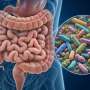 Distinct gut microbiome patterns found in five cancer groups and in early-onset cancers