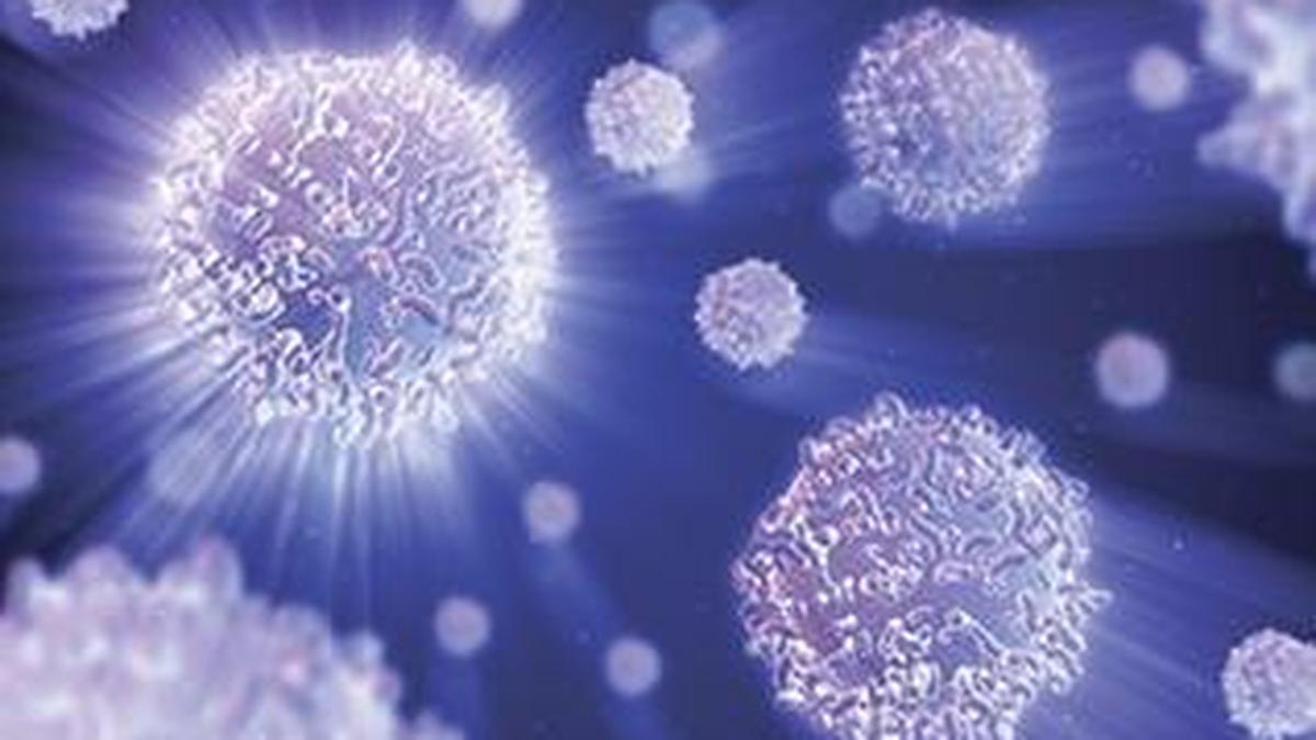 IISc researchers use light to fix cell division