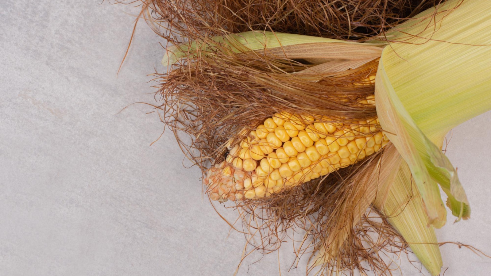 Corn hair is being called a kidney remedy: What science actually says
