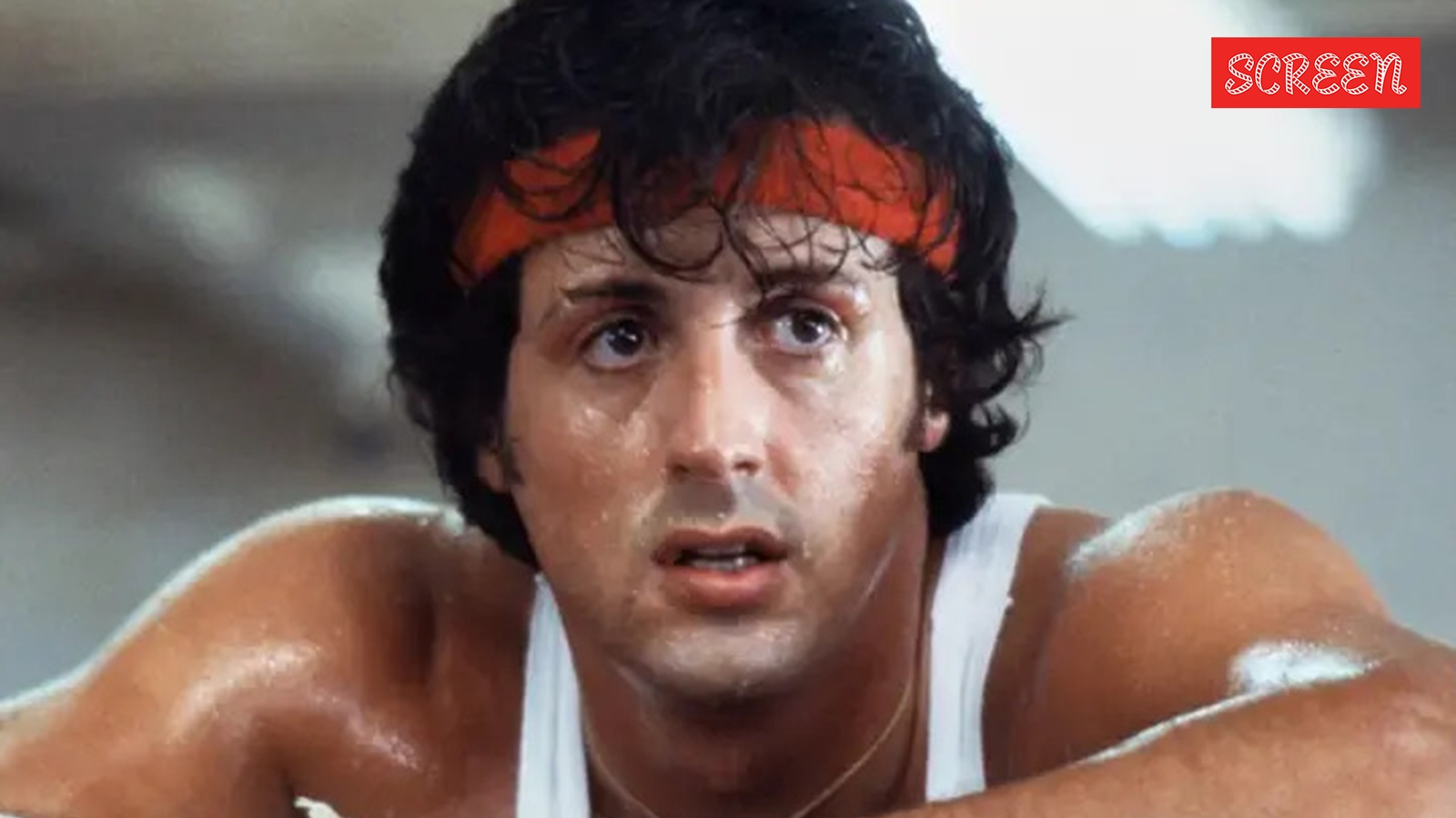 Sylvester Stallone reflects on Rocky 50 years later: ‘I am a lucky dog’