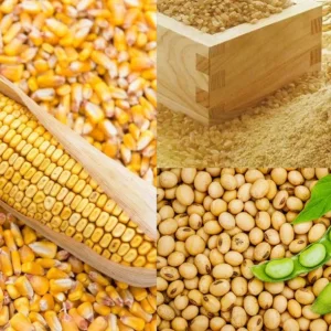 Rising feed ingredient costs threaten poultry industry