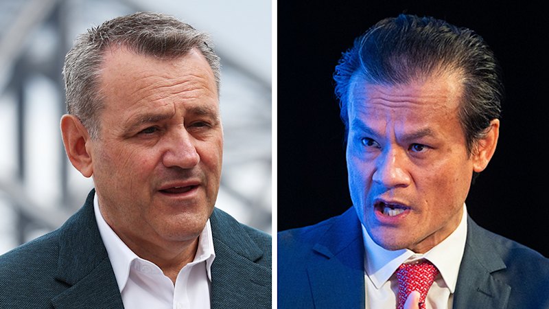 ‘He’d lose to an empty chair’: The Labor preselection tactic to save two ministers