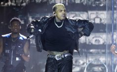Chris Brown Will Get New Dog Attack Trial — Unless Housekeeper Accepts $9.5M Reduced Verdict