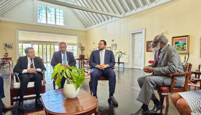 St. Vincent and the Grenadines Governor-General meets Minister of State at Ministry of Foreign Affairs