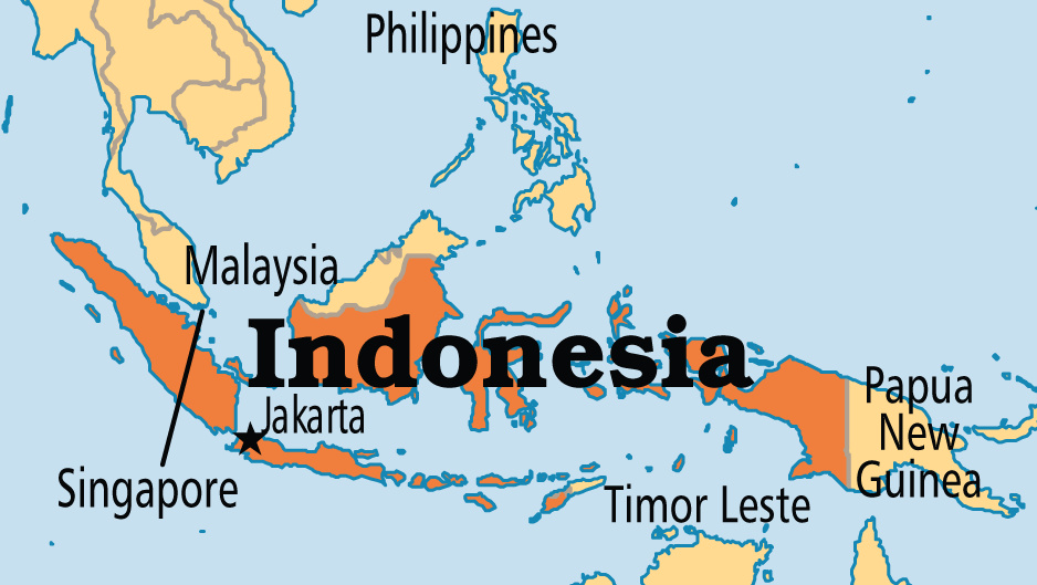 At least 47 dead in eastern Indonesian earthquake