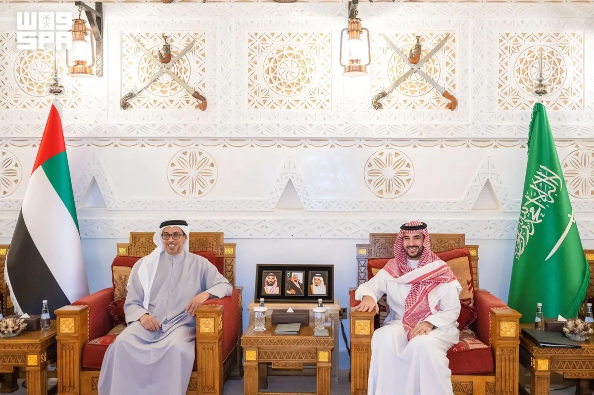 Defense minister, UAE vice president discuss strengthening bilateral cooperation