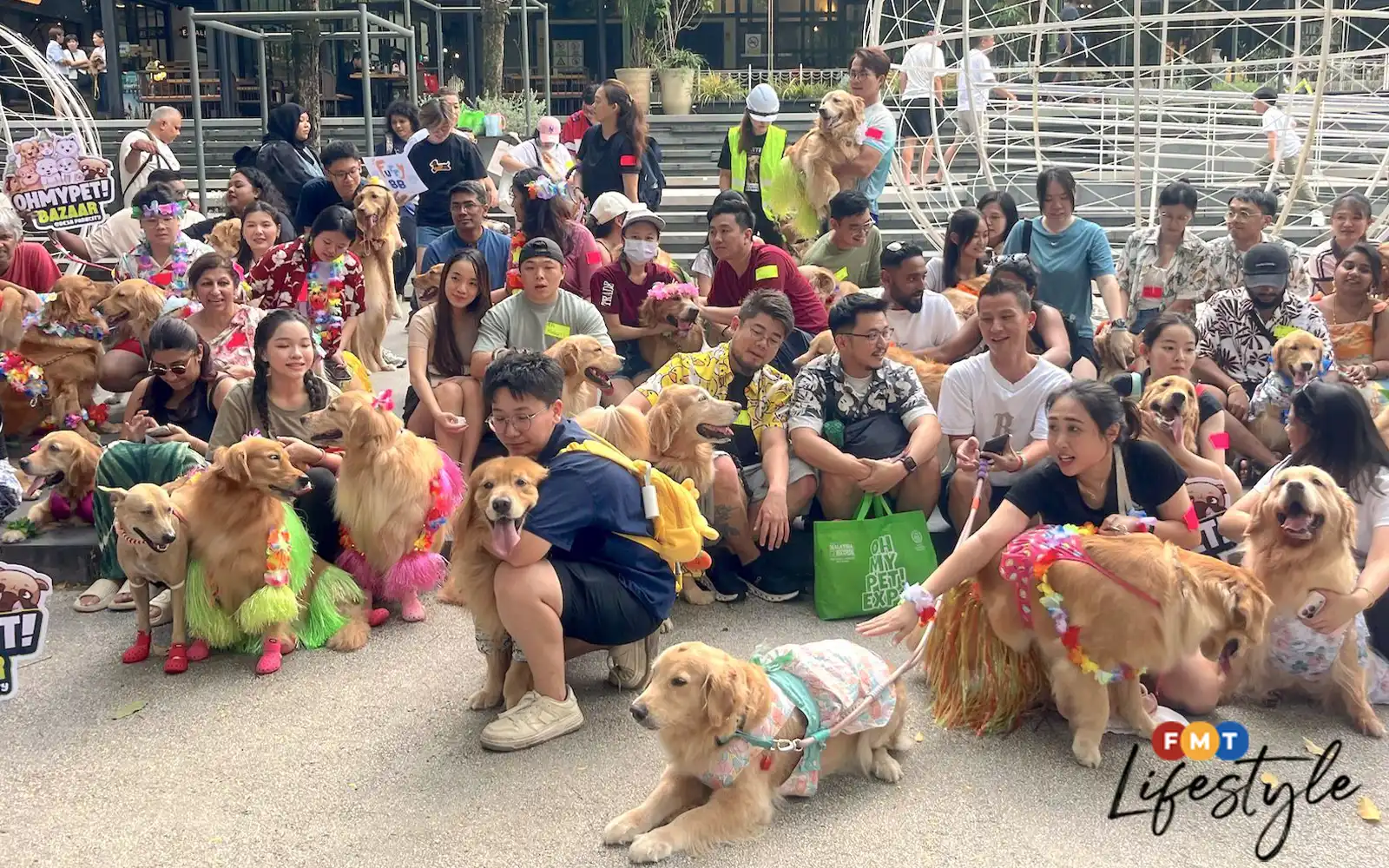 Paw-loha! 100 golden retrievers gather at Desa ParkCity