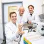 Tiny blood clots help guide blood flow as placenta develops, mouse study finds