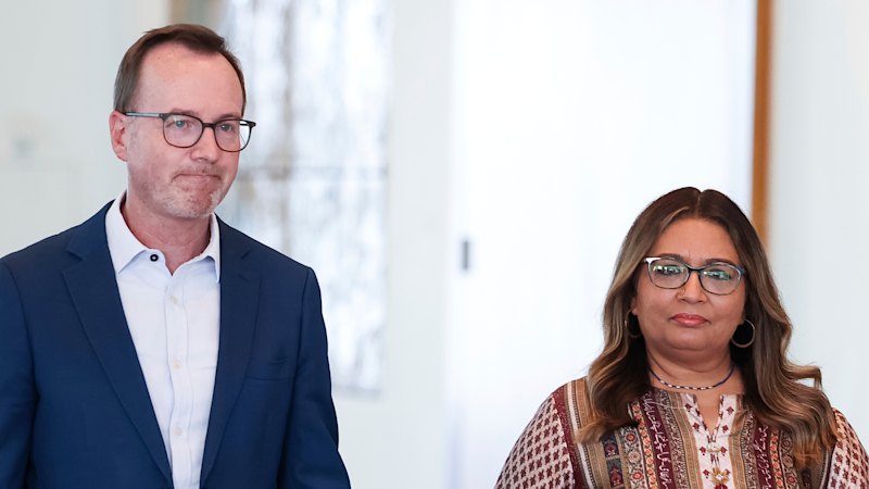 Almost half the Greens partyroom is contesting in leadership showdown