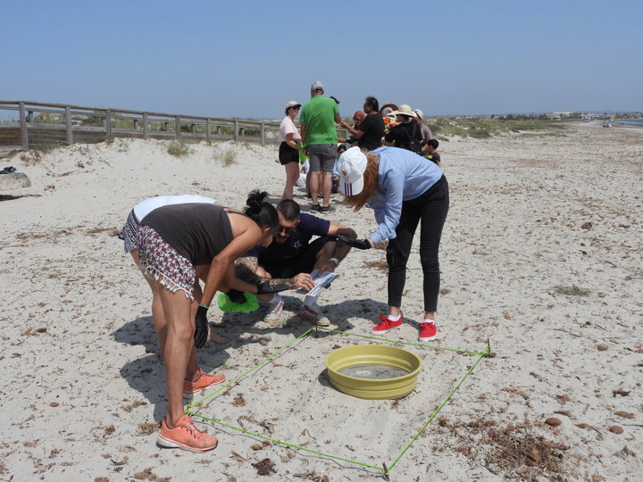More than a tonne of trash removed as Murcia volunteers unite to clean up local nature reserves