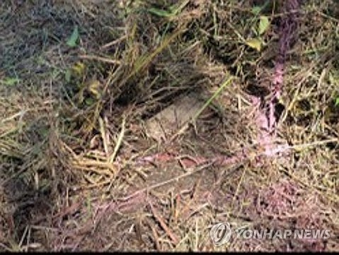 U.N. Command says Armistice Agreement violation occurred over DMZ mine blast
