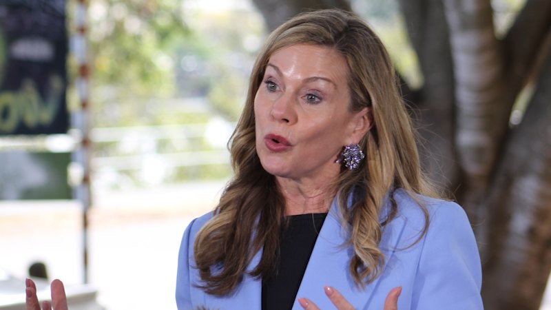 Online safety boss flags exit, notes power imbalance between big tech and regulator