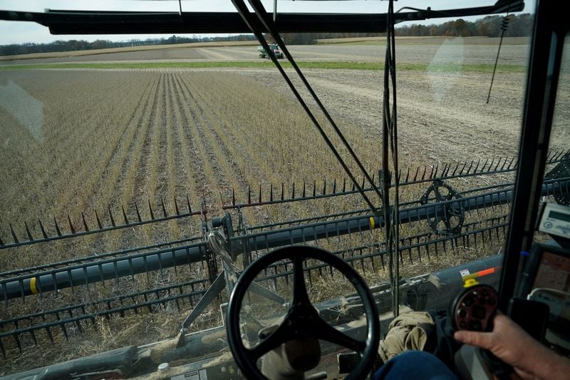 China’s weak soybean demand dims prospects for US cargoes after tariff snub