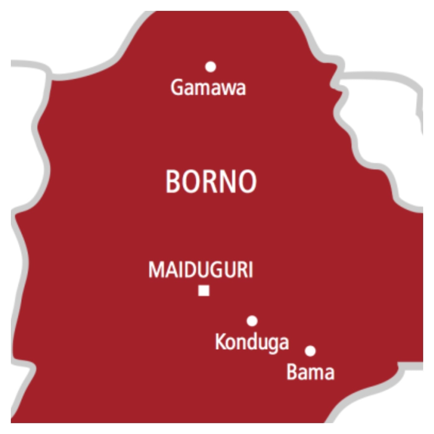 Five men arrested for wearing ‘Tinubu Must Go’ T-shirt in Borno
