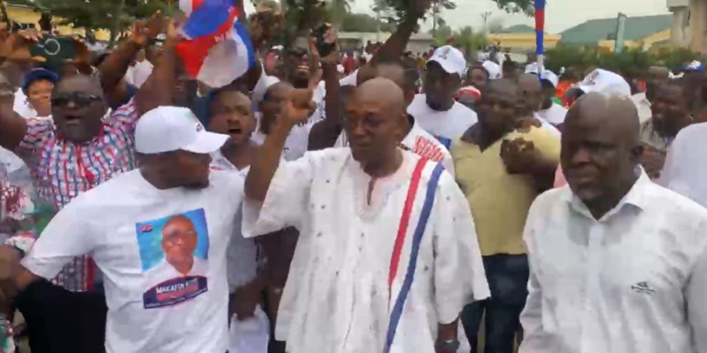 Makafui Woanyah retains NPP Volta Regional Chairmanship