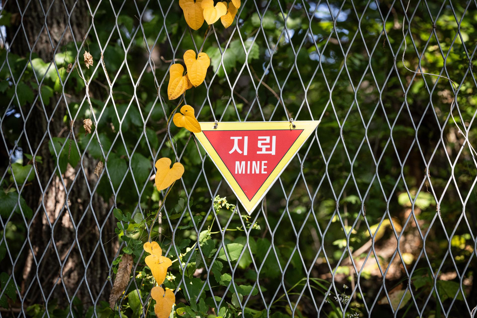 Questions remain over when NK mines were planted in DMZ