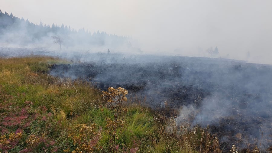 Waldbrände: Brand in Belgien – Monschau bereitet Evakuierungen vor