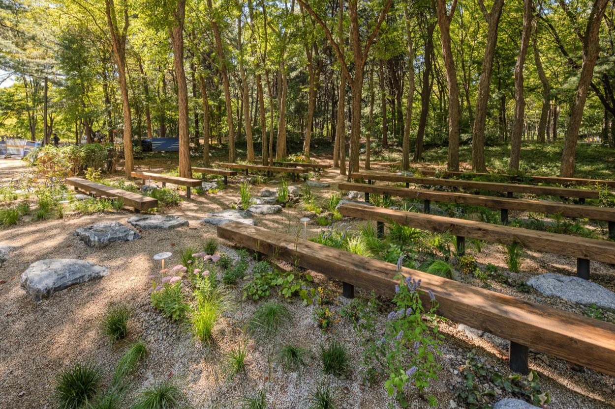 Seoul's autumn garden festival brings 51 new displays to Maeheon Citizens' Forest