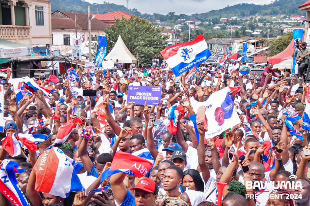 NPP regional election: Provisional results so far