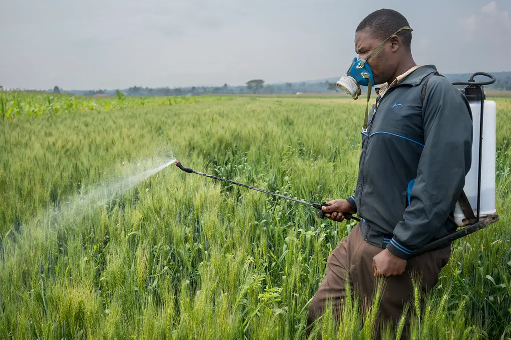 EU pesticide rule changes raise concerns for South Africa