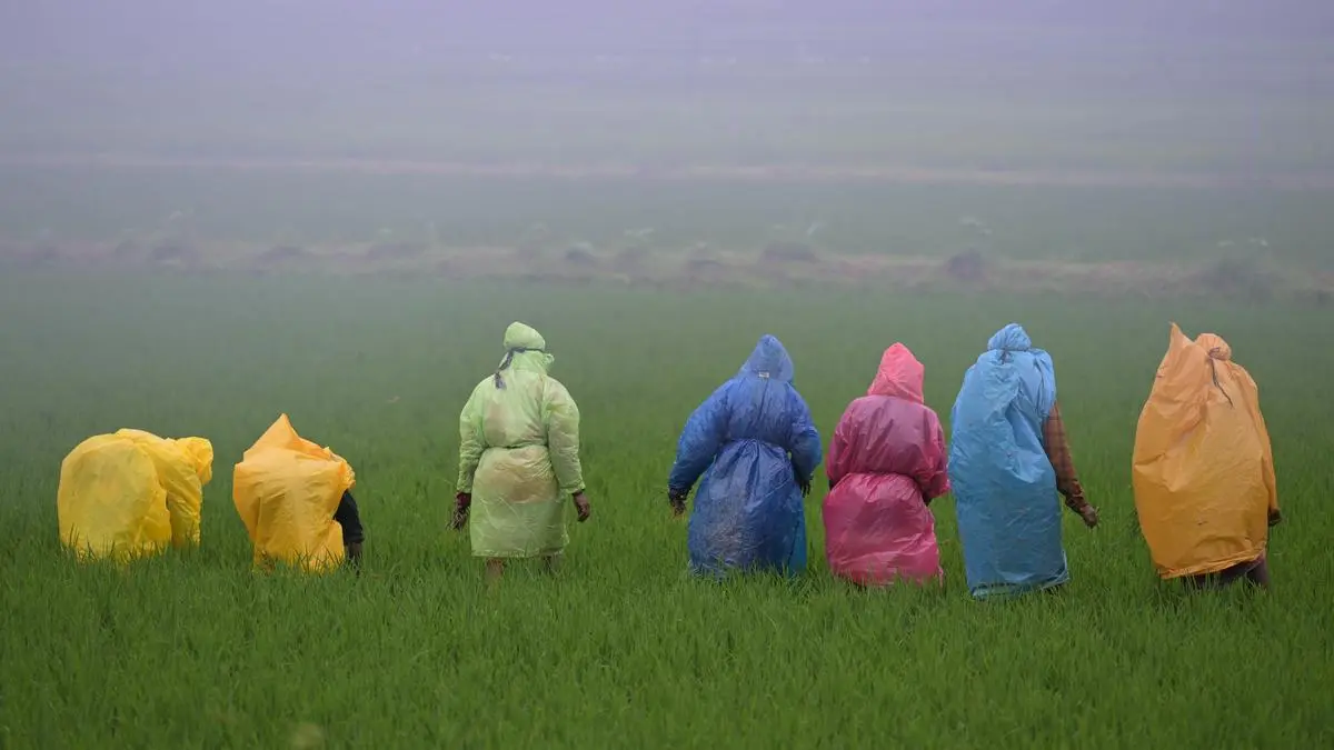 India monsoon ends with 13% deficit; 15 states receive below normal rains