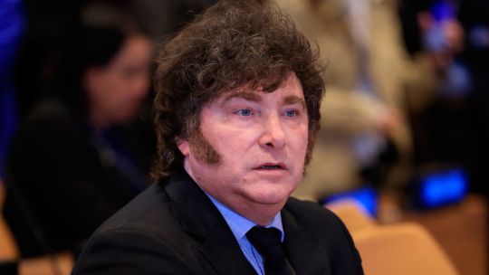Supreme Court clears way for Milei to scrap limits on foreign land purchases