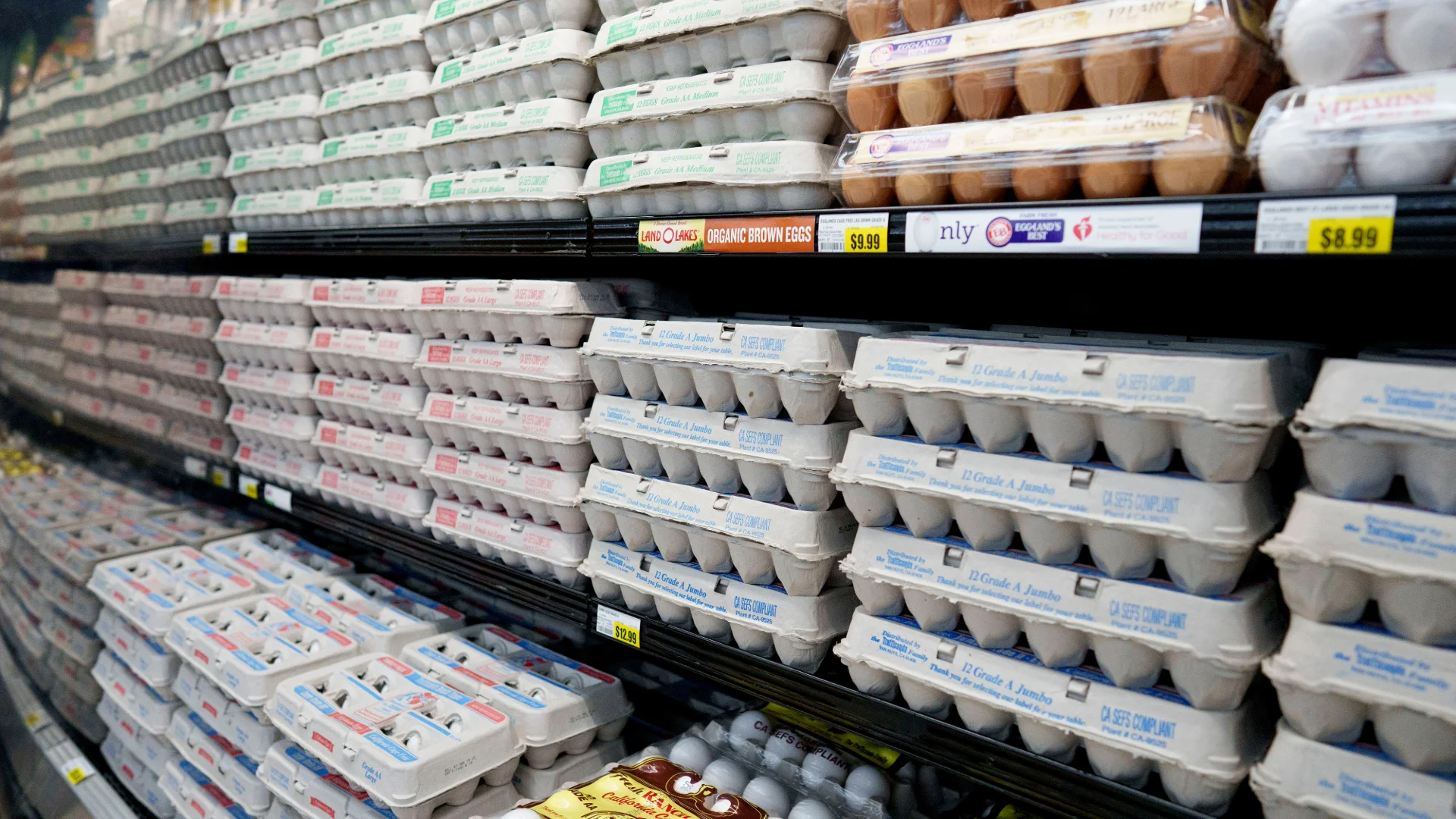 Check Your Carton: FDA Elevates Egg Recall to Highest Level After Salmonella Outbreak