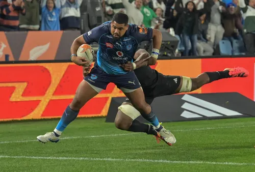 All Blacks slaughter underdone Bulls as Kiwis start to click before first Springboks test