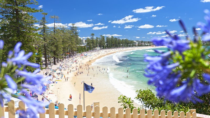 As an immigrant, I quickly fell in love with this famous Aussie suburb