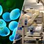 AI scientist autonomously generates and validates new biological discoveries