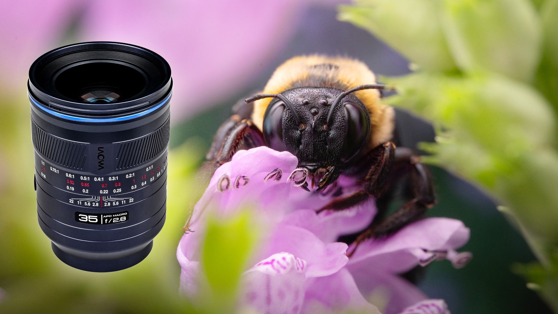 World first 👀 This wide-angle macro lens enables you to capture unique 1:1 environmental close-ups