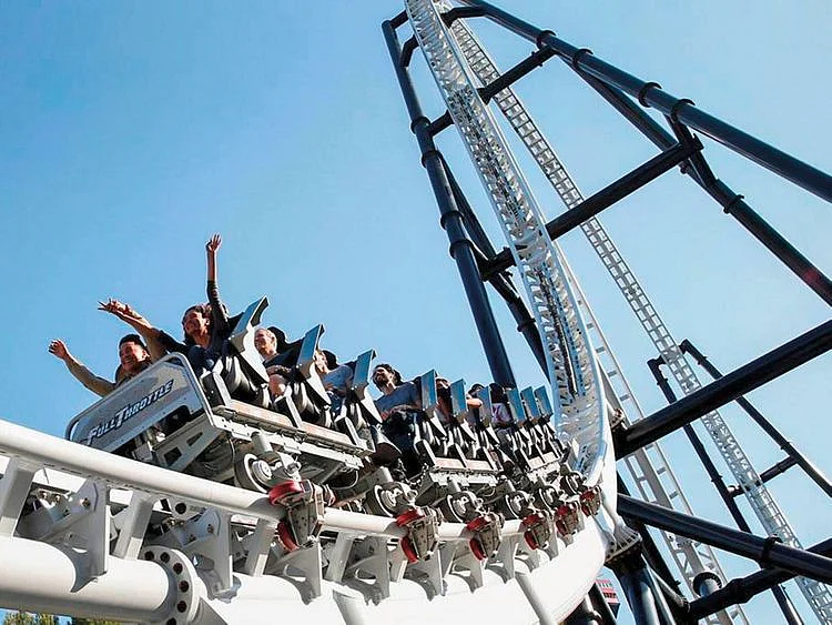 California roller coaster shut after brain damage claims