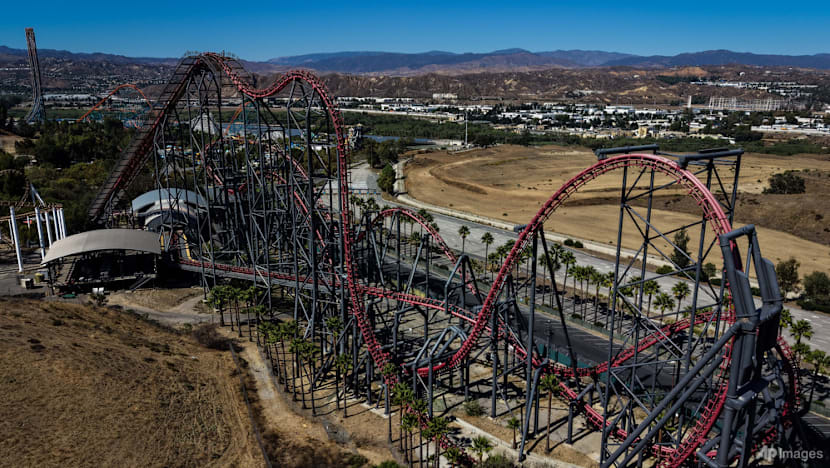California roller coaster shut after brain damage claims