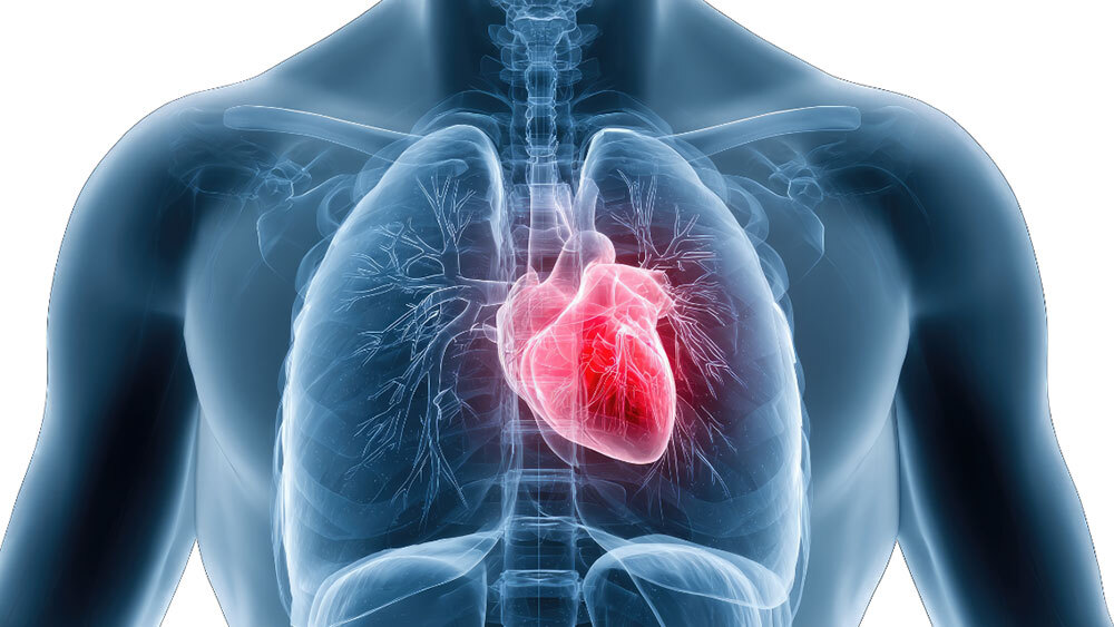 Journal investigating paper on heart device with registration number for wrong trial
