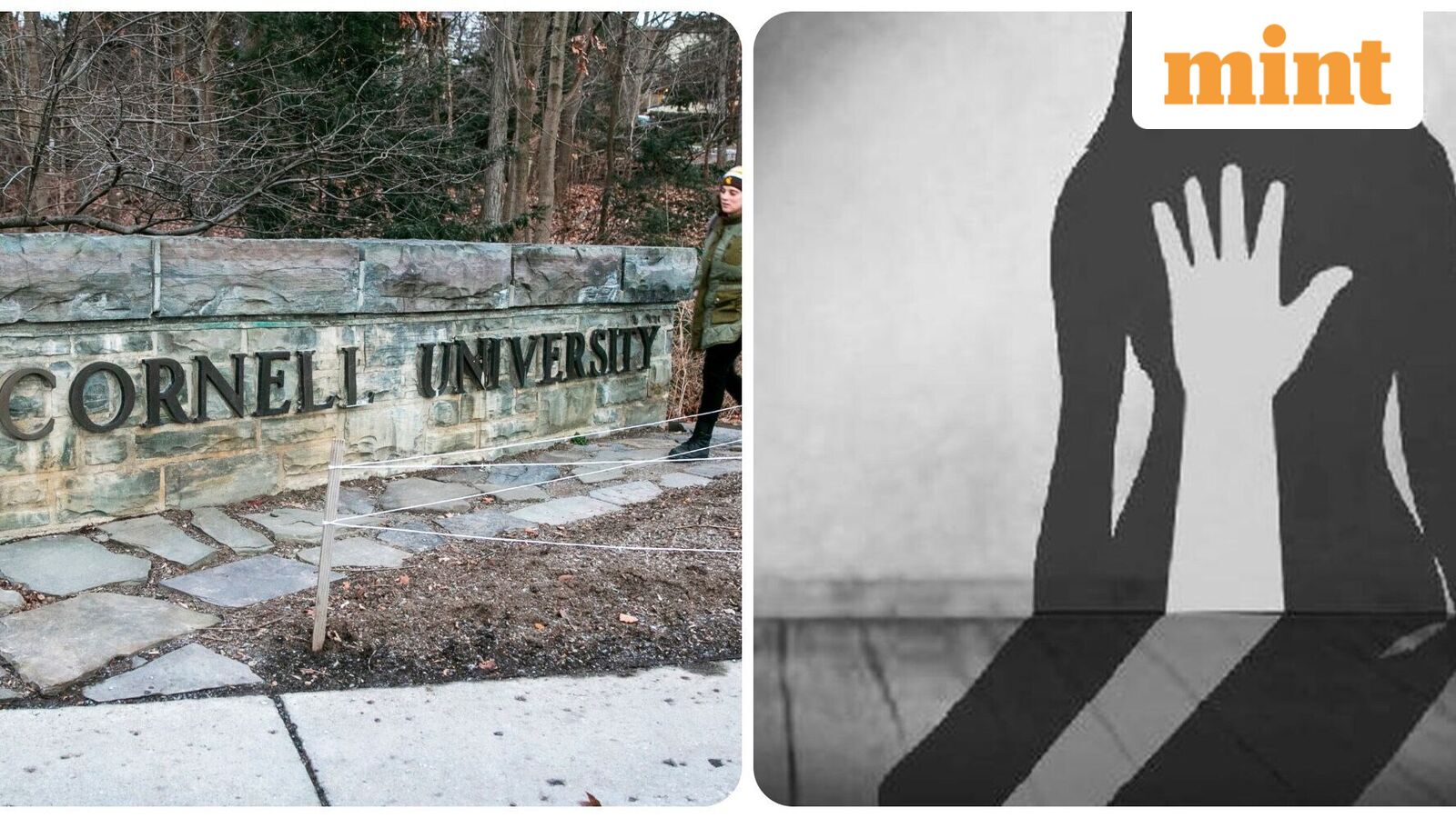 'Shop still open?': Snapchat, text exchange, other chilling details in Cornell University rape investigation emerge