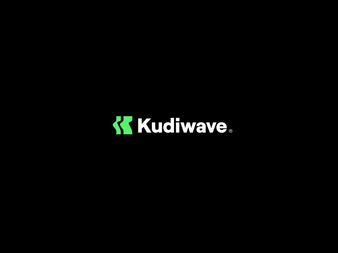KudiWave seeks clarification over N750m transfer from PalmPay account