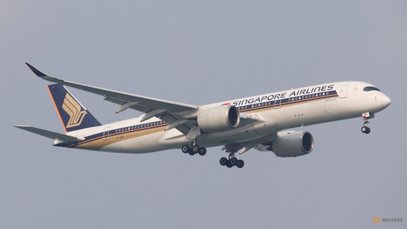 Singapore Airlines cancels flights to and from Dubai until Dec 1